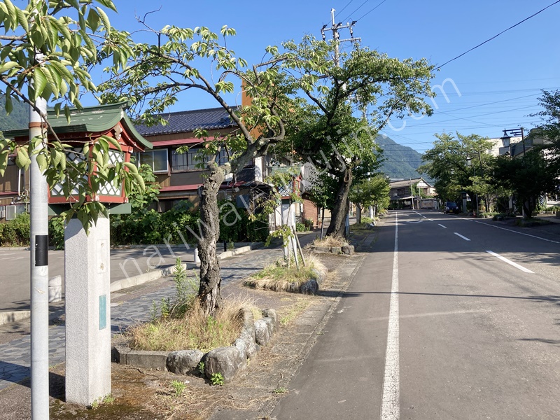 新潟・弥彦神社・寺泊市場