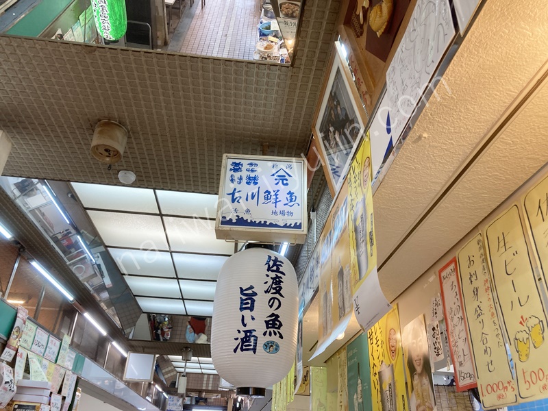 新潟市内周遊・酒飲み比べ・鈴木鮮魚店、古川鮮魚店